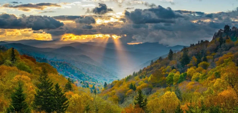 vacation cabin rentals in sevierville​ cabin and mountain ch cabins in sevierville vacation cabin rentals in sevierville tn​ cabins in sevierville tn Intents: Commercial 82%, Transactional 18% cabin resorts in pigeon forge tn Intents: Transactional 100% cabin rentals sevierville tn Intents: Transactional 100% sevierville resorts Intents: Commercial 50%, Transactional 50% vacation rentals sevierville tn cavation rentals in sevierville
