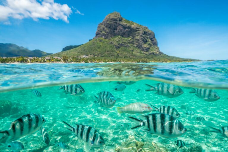 mauritius homes for rent places to rent in mauritius holiday rentals mauritius mauritius villa rentals holiday apartments to rent in mauritius